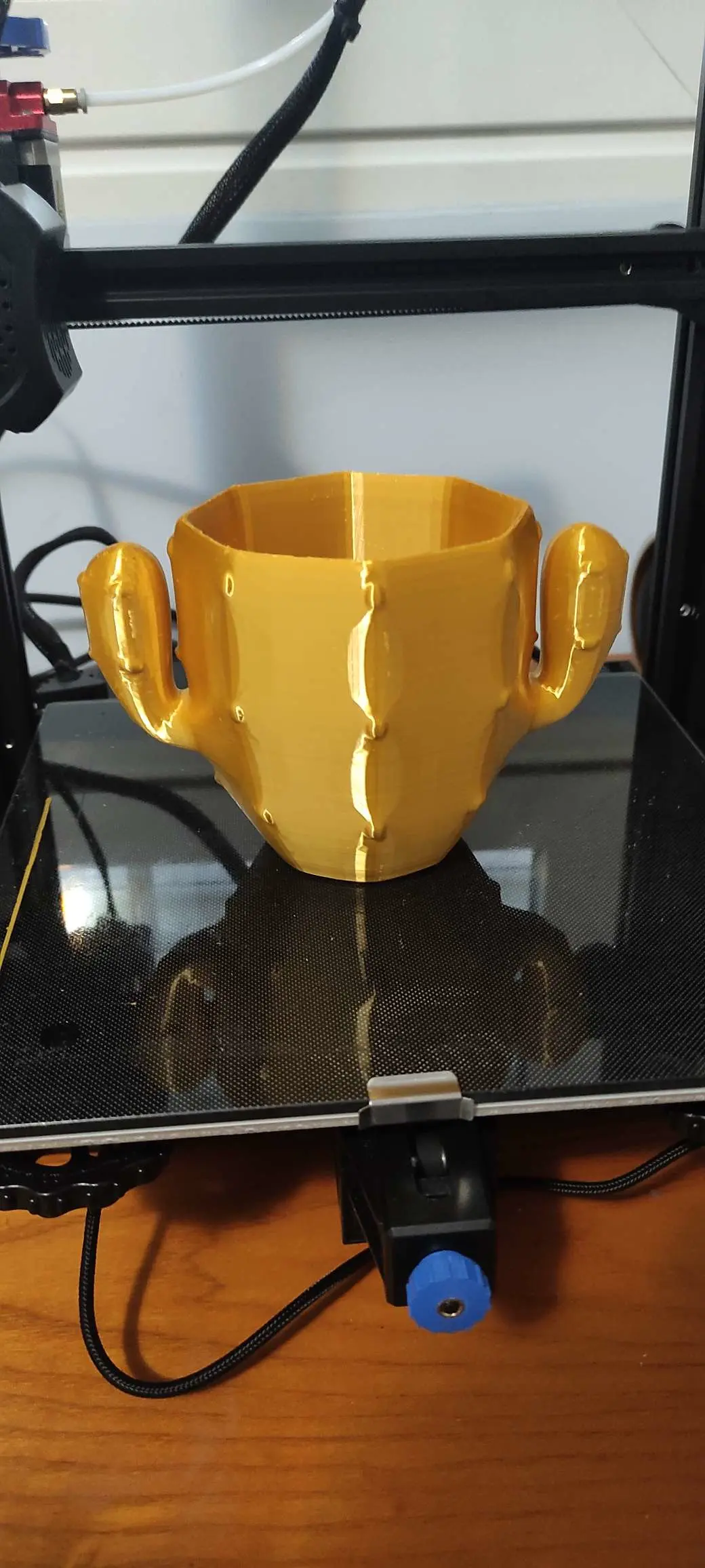 cactus pot