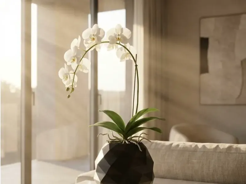 flower vase