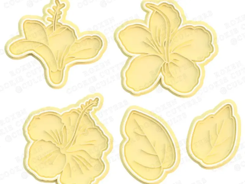 Set de 5 cortapastas de hibisco