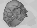 Skull-Ring-1