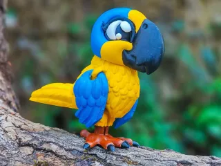 Bird Parrot Multi-colour