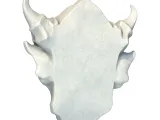 Gargoyle Monster Head – Dark Fantasy Creature Model-5