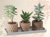 Set de macetas minimalistas | Minimalist planter set-0
