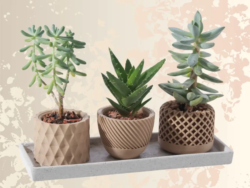 Set de macetas minimalistas | Minimalist planter set