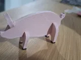 Pig Kit Card-1