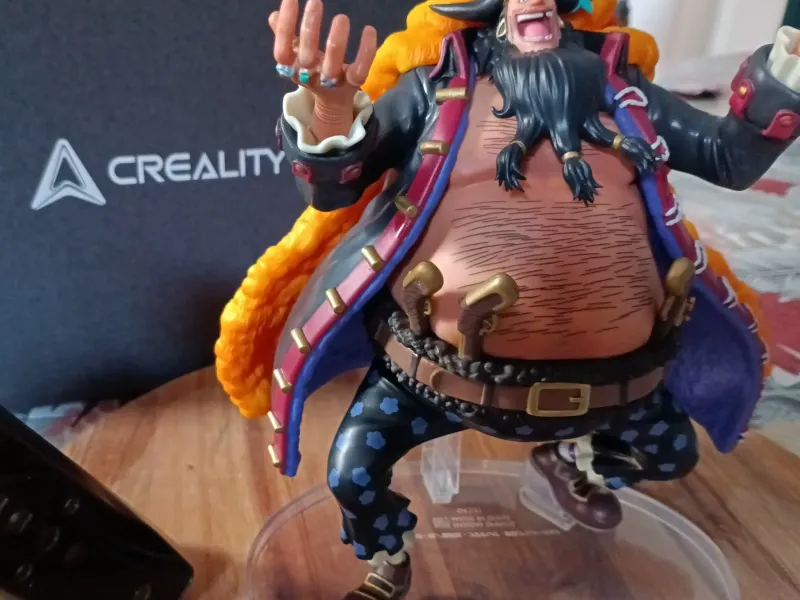 barbe noire (one piece)