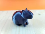 Capibara-2