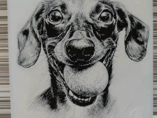 Hueforge dog with ball in mouth