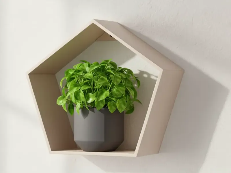 shelf