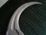 Dino foot claw-0