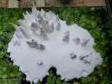 Floating Island Top-2