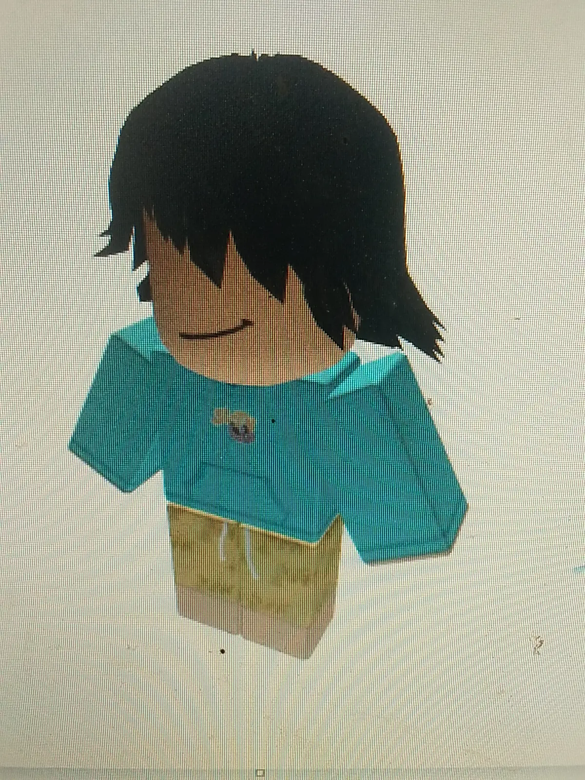 Zackdhanujaya1 roblox shoulder pet