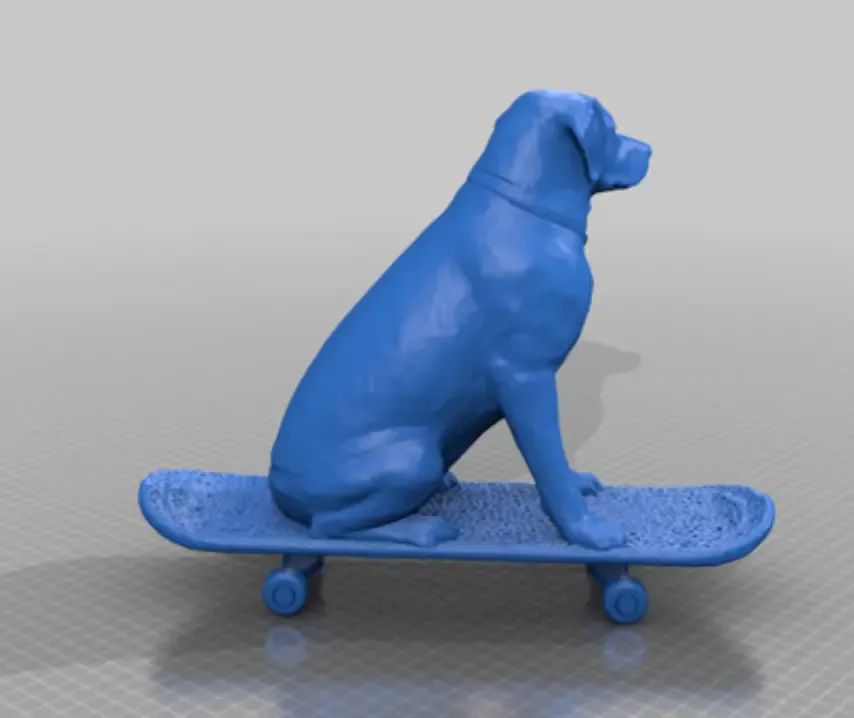 Labrador on a skateboard 