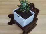 Rock-a-Plant 🌿🪑-1