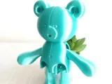 Pequeño Oso Flexi-5