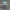 Funko Rebecca Cyberpunk Edgerunners