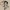 Keychain Betty Boop II