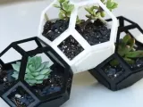 Plantygon - Modular Geometric Stacking Planter for Succulent-3
