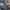 Hummel (carro armato III-IV) (versione portamunizioni) - m