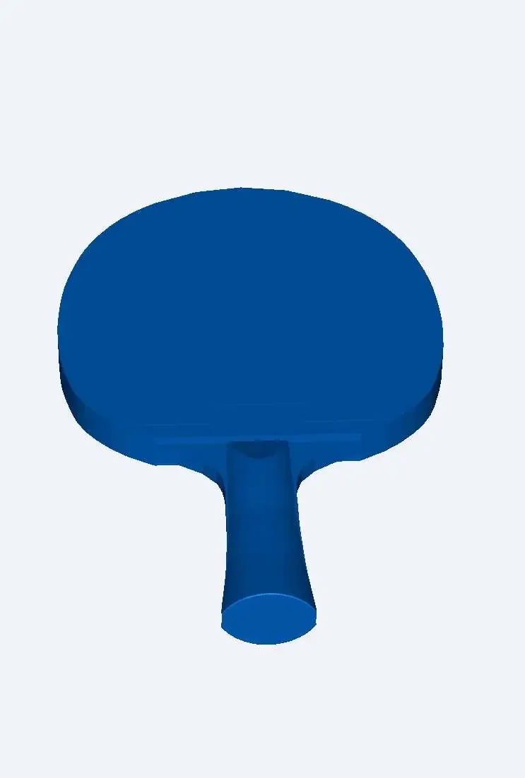 Raquette de tennis de table