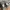 Metabo big case clipper V3.2
