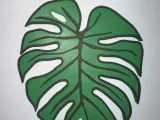 Monstera Coasters-5