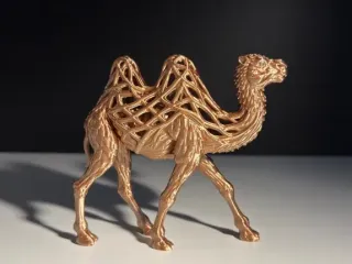 Camel