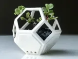 Plantygon - Modular Geometric Stacking Planter for Succulent-2