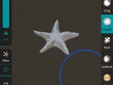 Starfish for Resin Pours -1