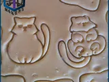 Katten koekjesuitsteker-4