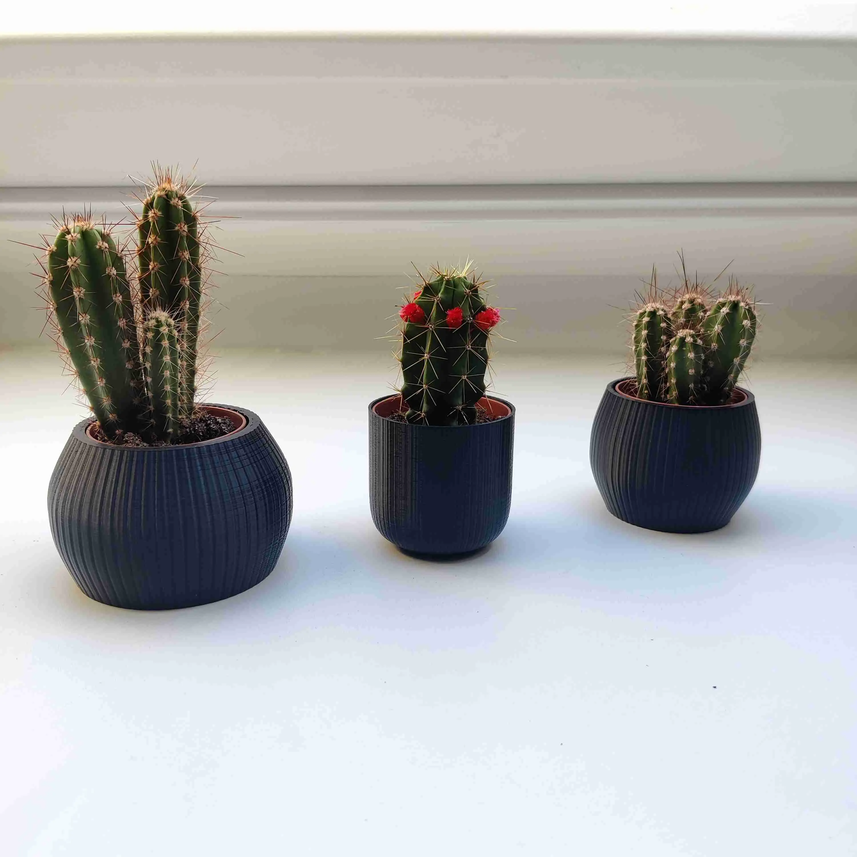 small modern plant pots