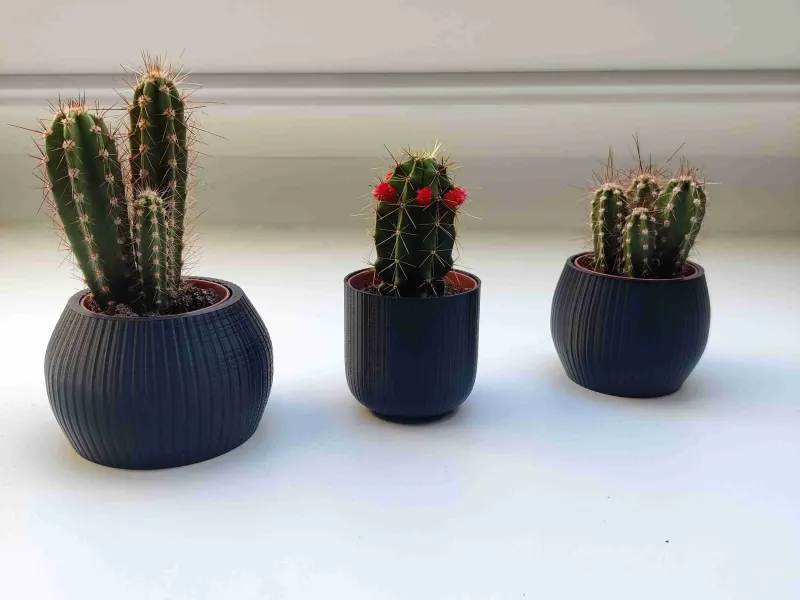 petits pots de fleurs modernes