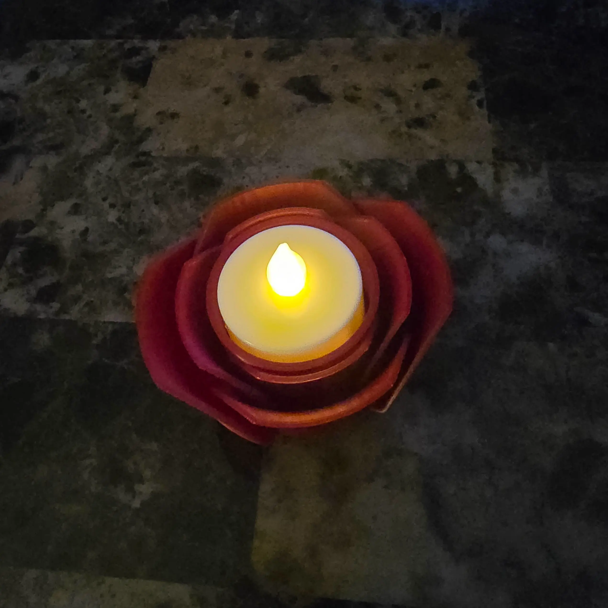 DD rose tea light
