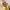 Heart Bloom Pot — Cute Botanical Figurine