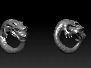 Ourboros Infinity dragon snake worm thing
