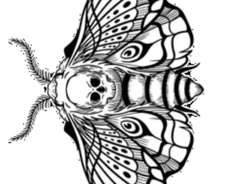 Death Moth