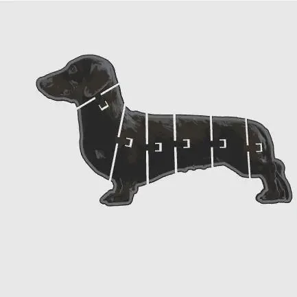 sausage dog