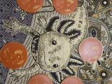 Axolotl coaster-3