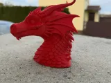 Red dragon head bust-5