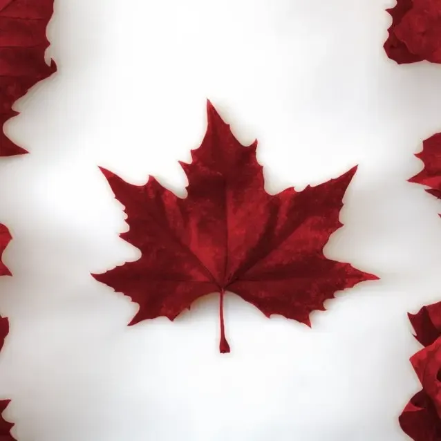 Canadian Flag Maple Leaf Lithograph 🍁 
