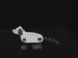 Doguinho. Little dog-2