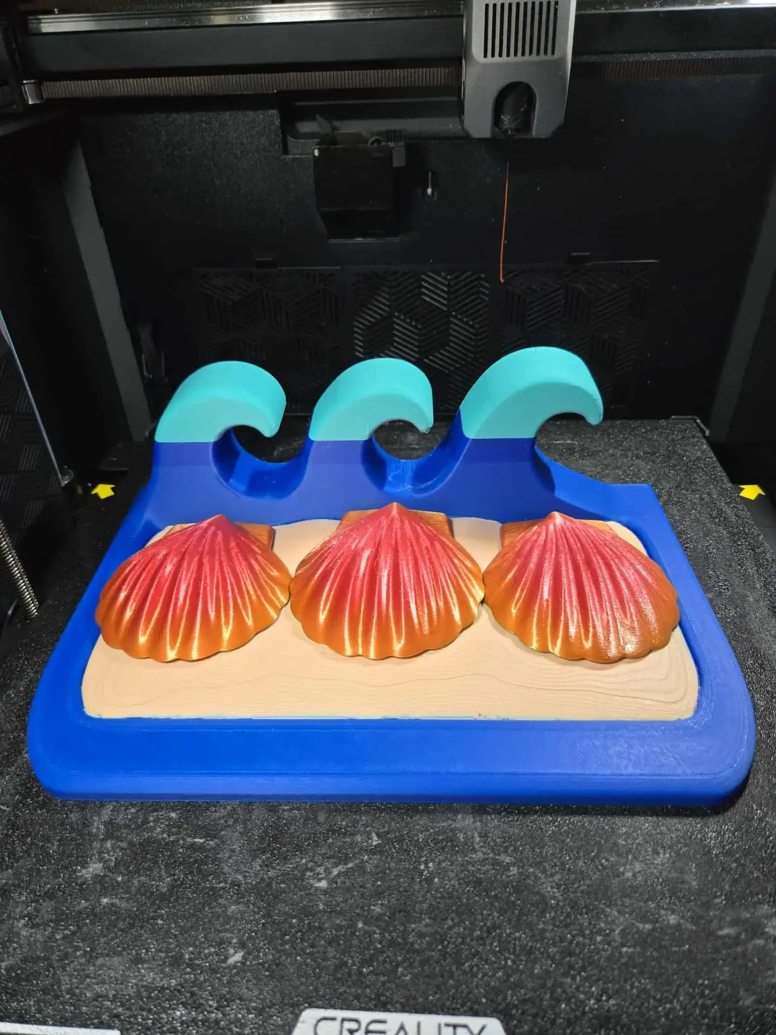 3D Printer Files | 3MF File | Goodbye Toilet paper! 3 Seashells ...