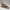 Ancient Temple Muse – Regal Sands Collectible Figurine