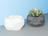 hexagon planter pot-5