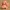 Lickitung Pokémon Chibi