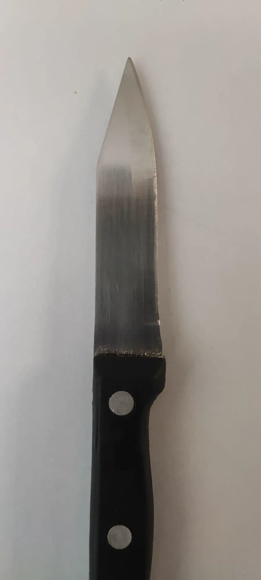 Messerscheide