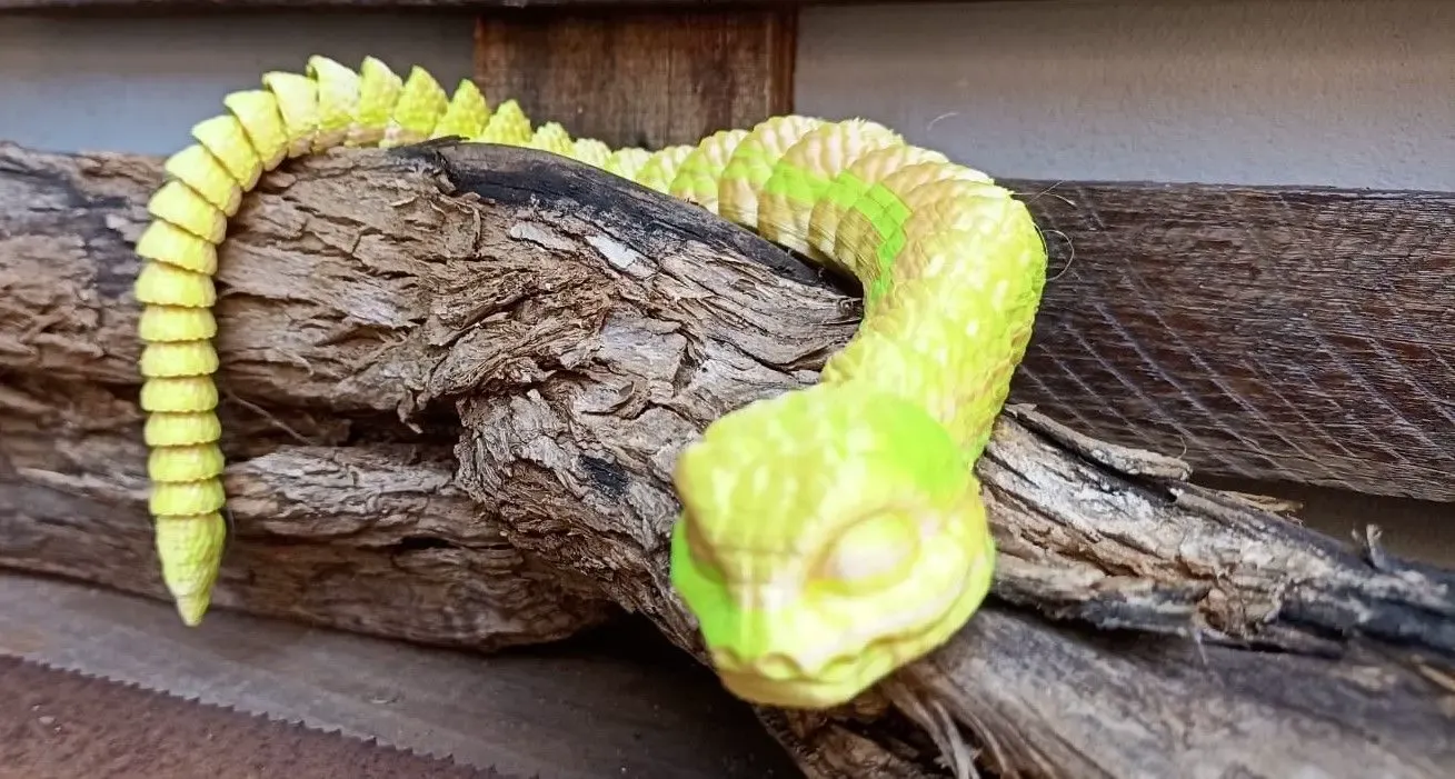 chibi flex snake