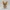 Knitted Monarch Butterfly Figurine – Noah0x03