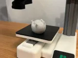 Kleine dicke Katze-1