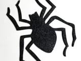 Spider-0